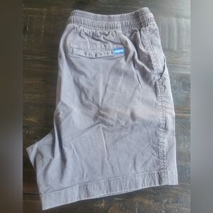 Chubbies Gray Men's Shorts